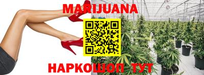 ALPHA PVP Малгобек